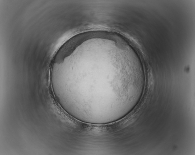 X0000115591365200912081039