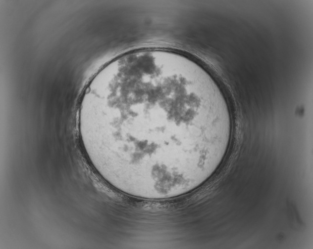 X0000115591366200912081039