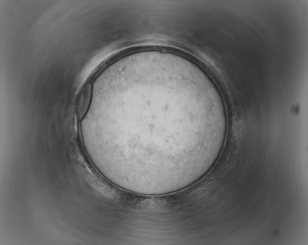 X0000115591368200912081039