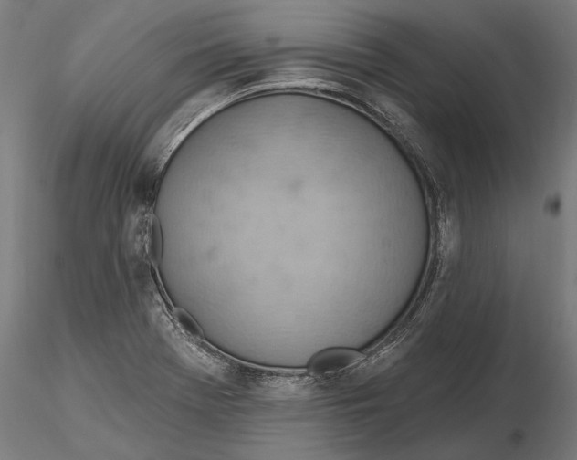 X0000115591369200912081039