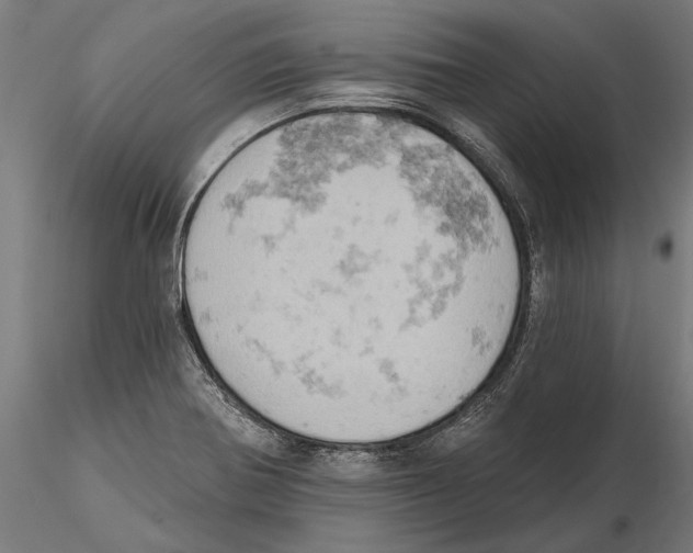 X0000115591370200912081039