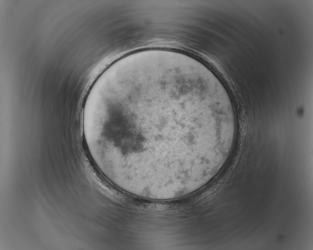 X0000115591371200912081039