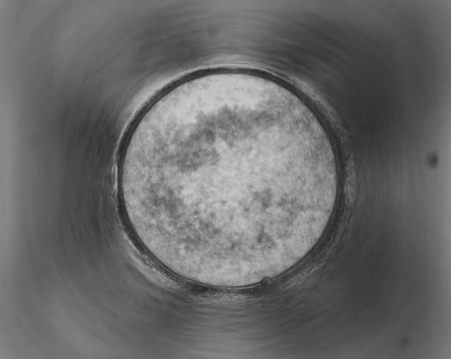 X0000115591372200912081039