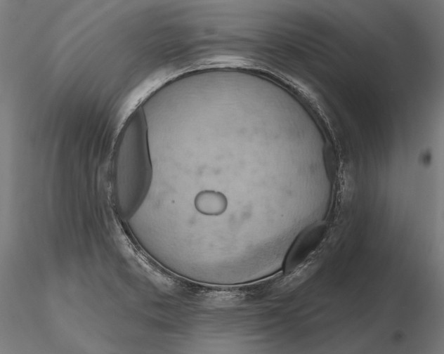 X0000115591373200912081039
