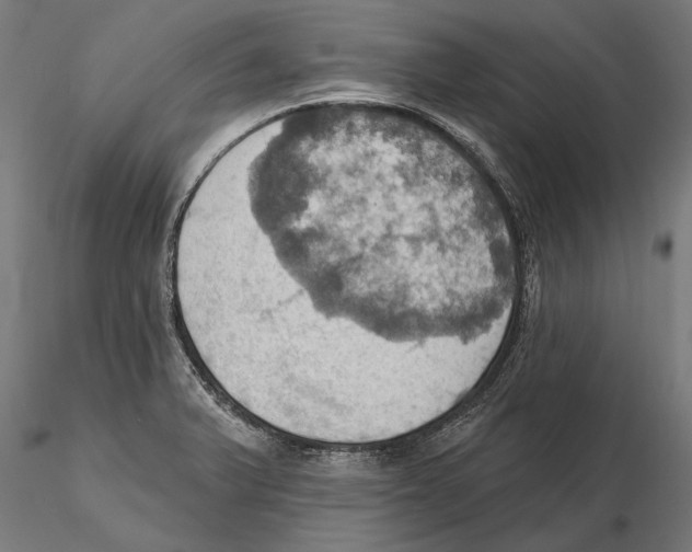 X0000115591375200912081039