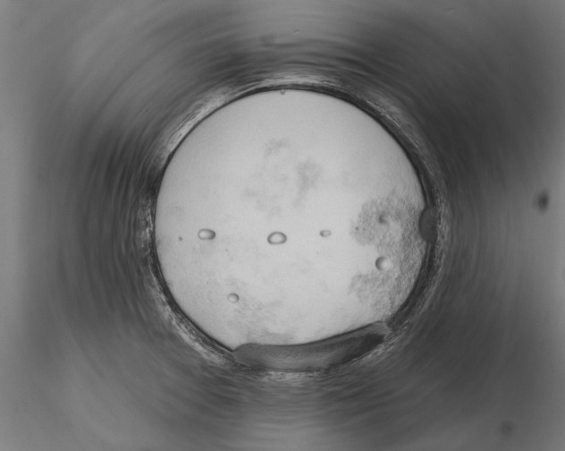 X0000115591377200912081039