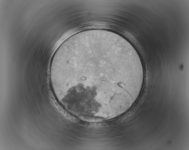 X0000115591378200912081039