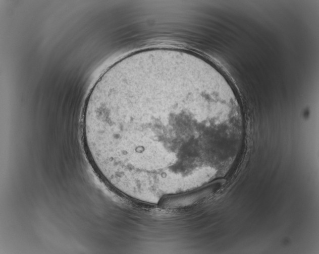 X0000115591379200912081039