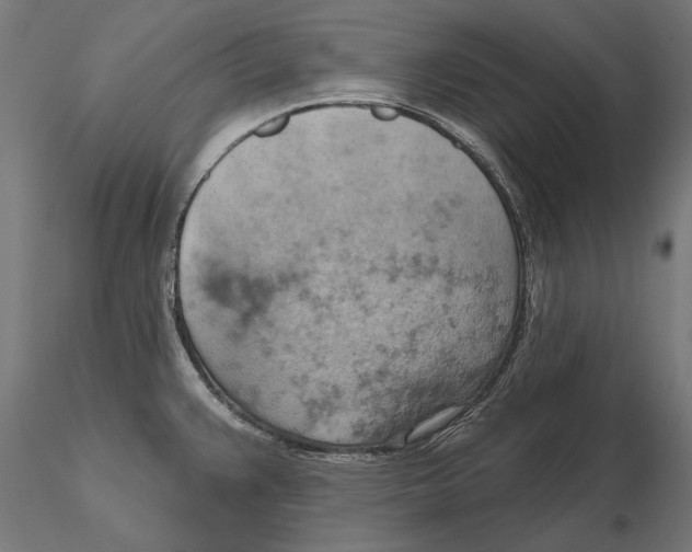 X0000115591383200912081039