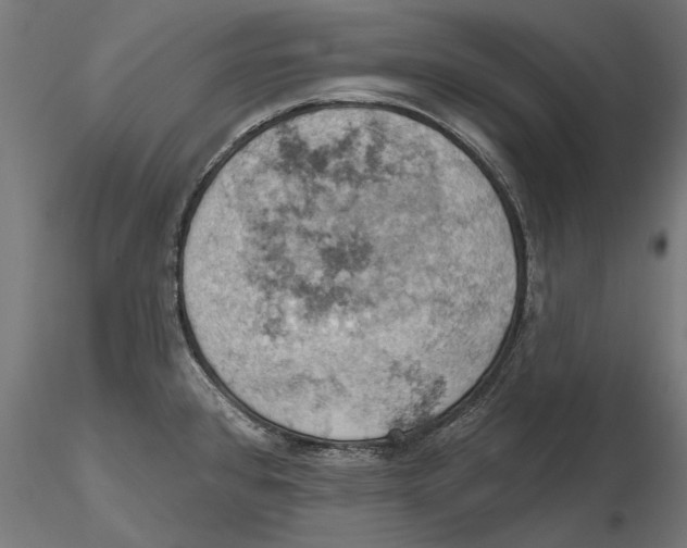 X0000115591384200912081039