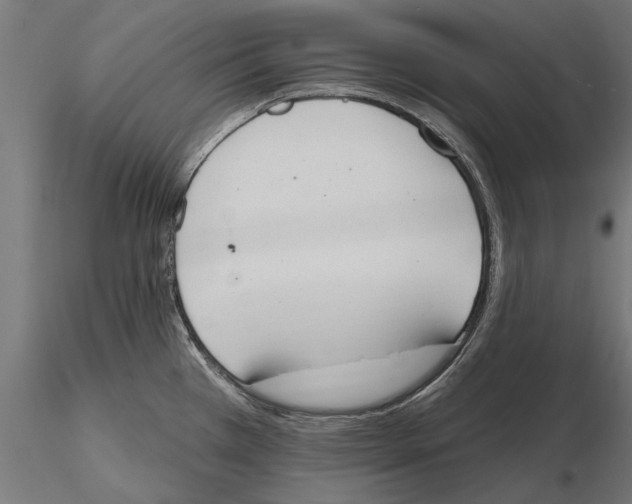 X0000115591385200912081039