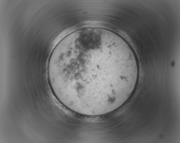 X0000115591386200912081039