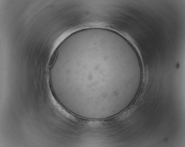 X0000115591389200912081039