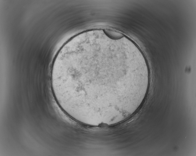 X0000115591392200912081039