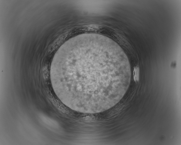 X0000115591395200912081038