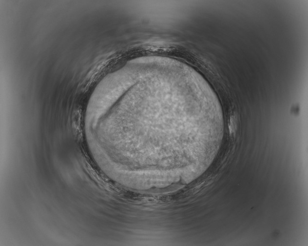 X0000115591396200912081038
