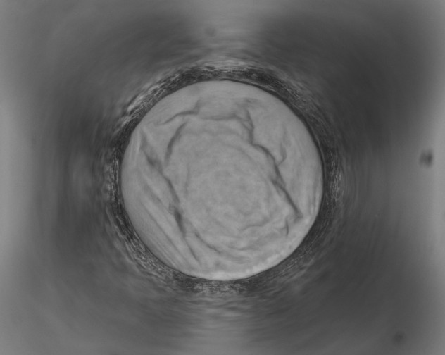 X0000115591397200912081038