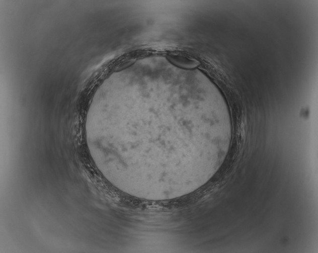 X0000115591398200912081038