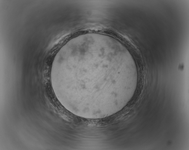 X0000115591399200912081038