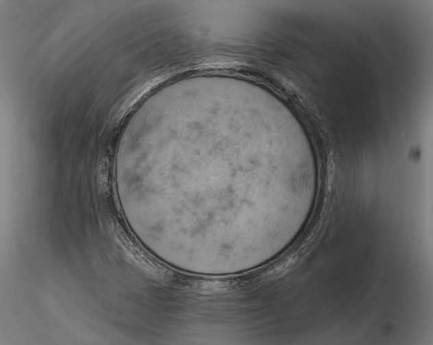 X0000115591401200912081038