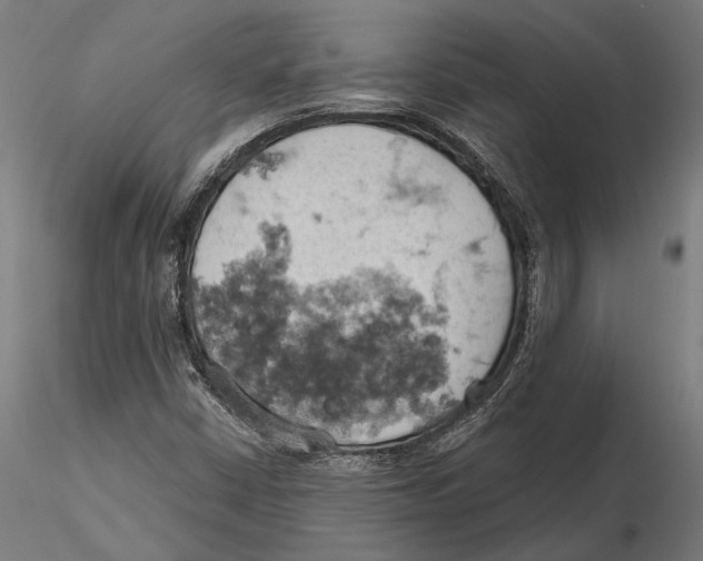 X0000115591402200912081038