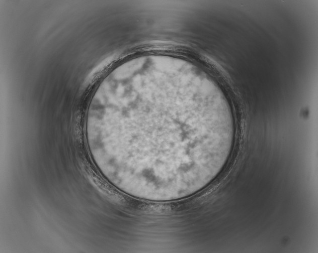 X0000115591403200912081038