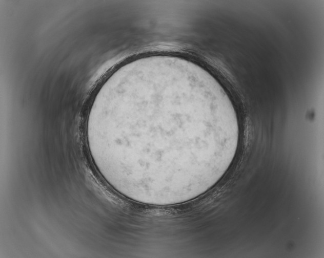 X0000115591404200912081038