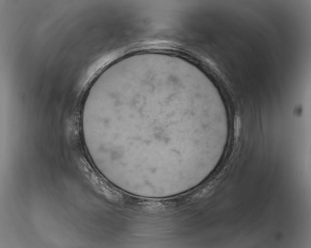 X0000115591405200912081038