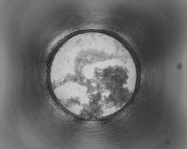 X0000115591406200912081038