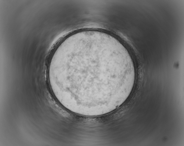 X0000115591408200912081038