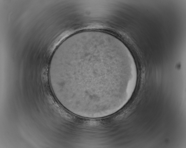 X0000115591409200912081038