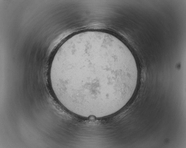 X0000115591410200912081038