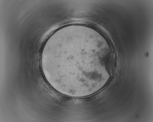 X0000115591411200912081038