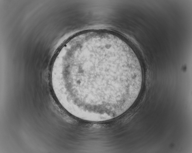 X0000115591412200912081038