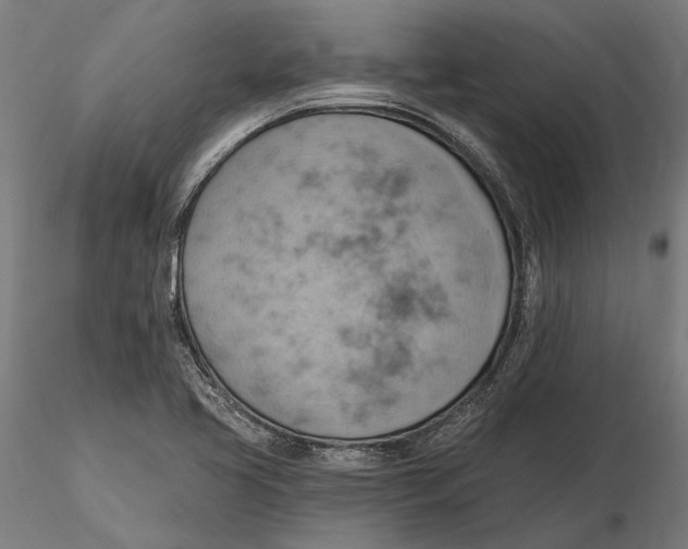 X0000115591413200912081038