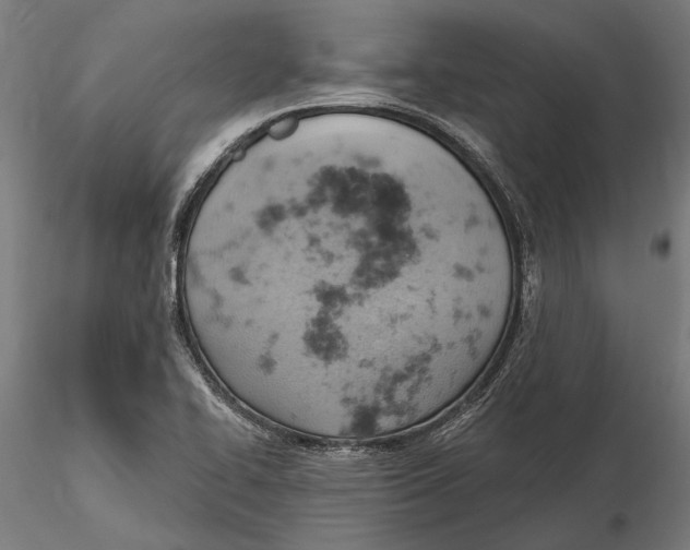 X0000115591414200912081038