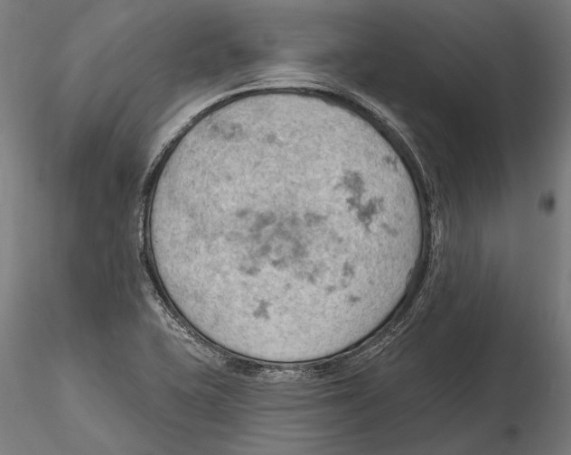 X0000115591415200912081039