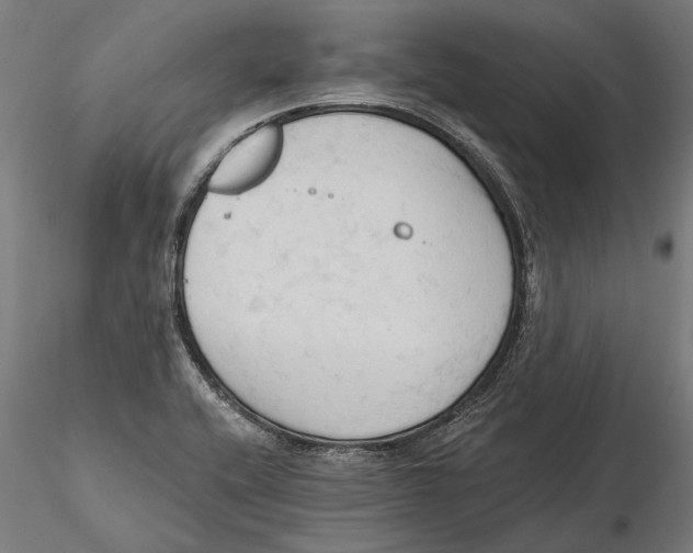 X0000115591416200912081039