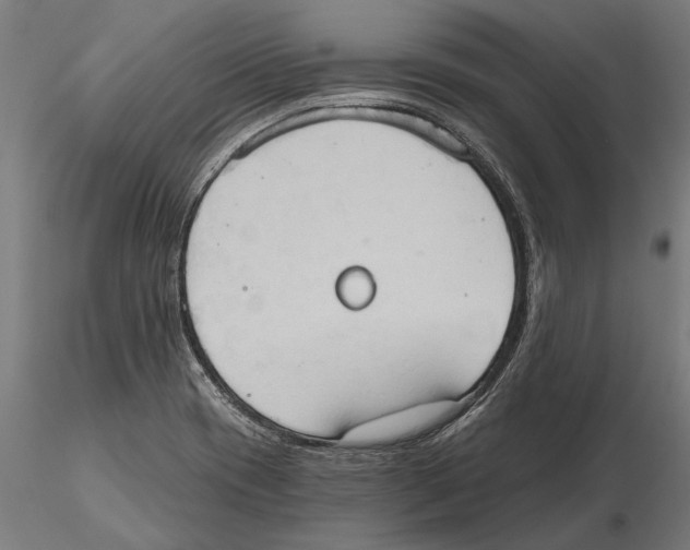 X0000115591417200912081039