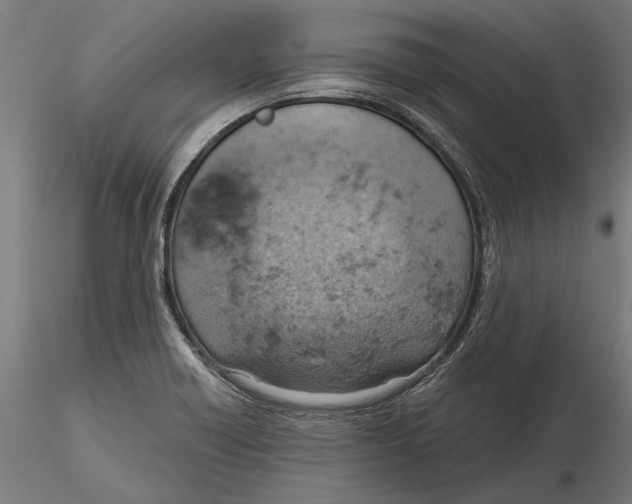 X0000115591418200912081039