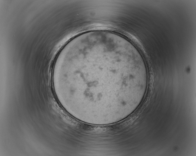 X0000115591419200912081039