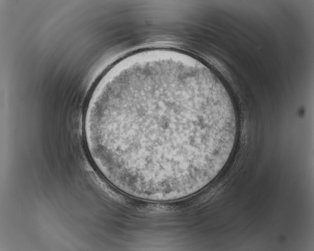 X0000115591420200912081039