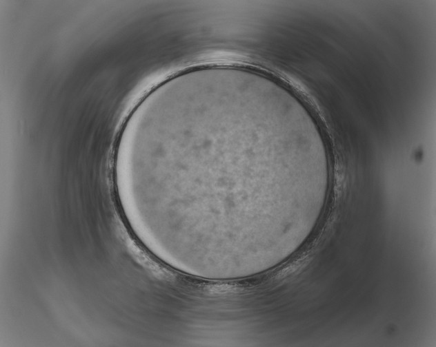 X0000115591421200912081039