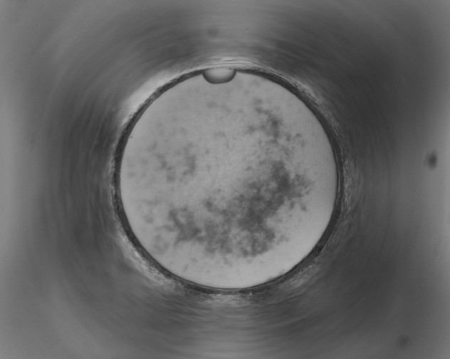 X0000115591422200912081039