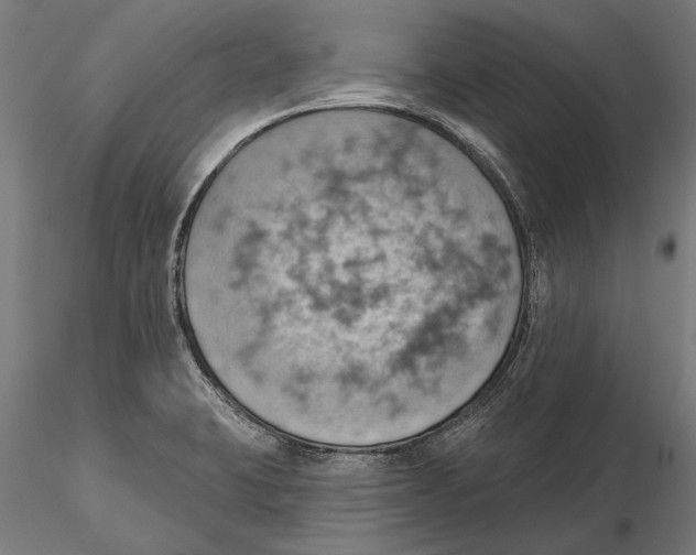X0000115591423200912081039