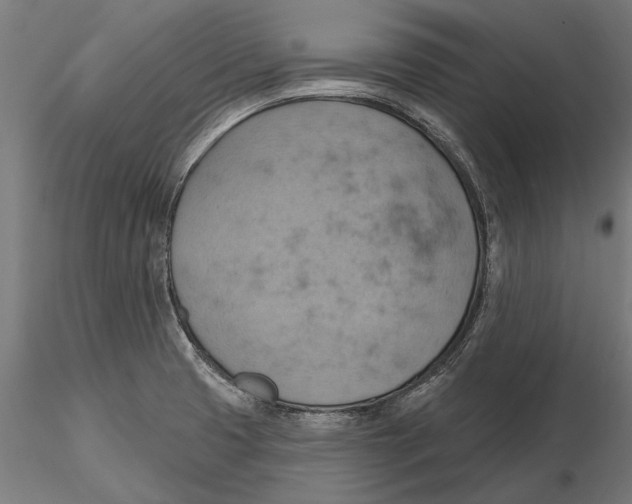 X0000115591425200912081039