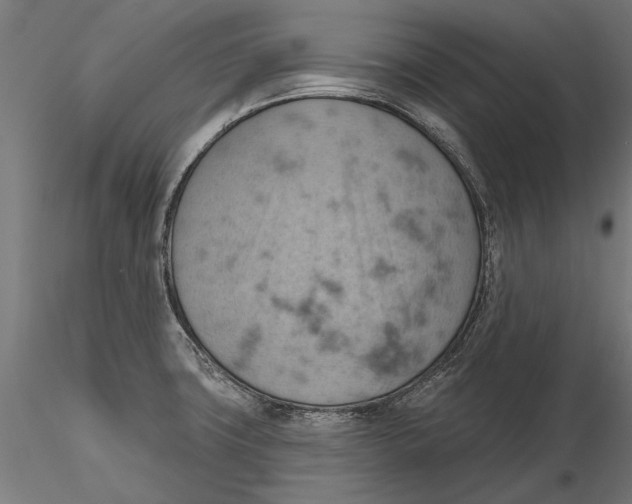 X0000115591427200912081039