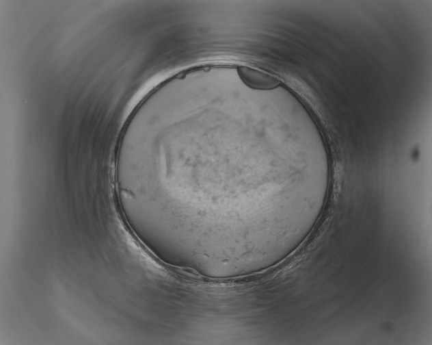 X0000115591428200912081039