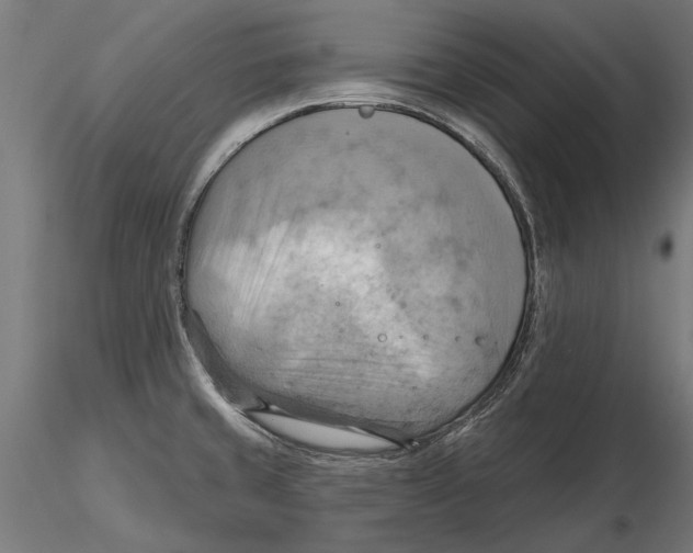 X0000115591429200912081039