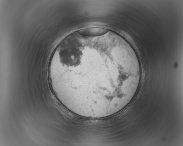 X0000115591435200912081039
